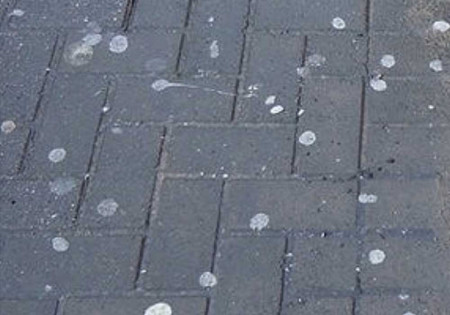 Chewing gum is unsightly and a public nuisance. Get it removed by Ace Cleaning, Advanced Cleaning Experts, Cavan & Fermanagh, Ireland